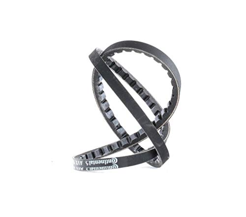 CONTITECH AVX10X875 Keilriemen